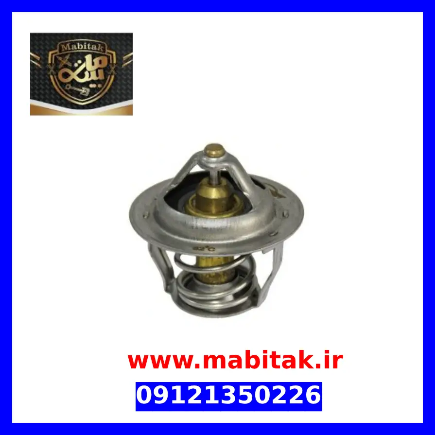 ترموستات دیگنیتی