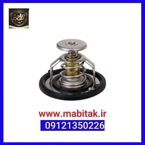 ترموستات چانگان