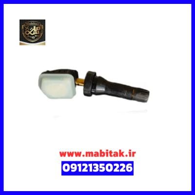 سنسور باد فیدلیتی